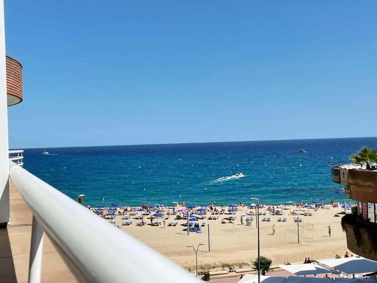 Live Lloret location